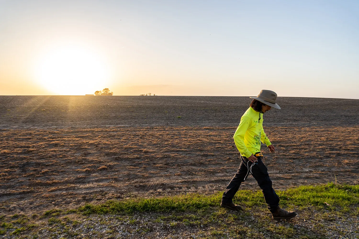 Mural painter walking beside the Illinois field at sunset